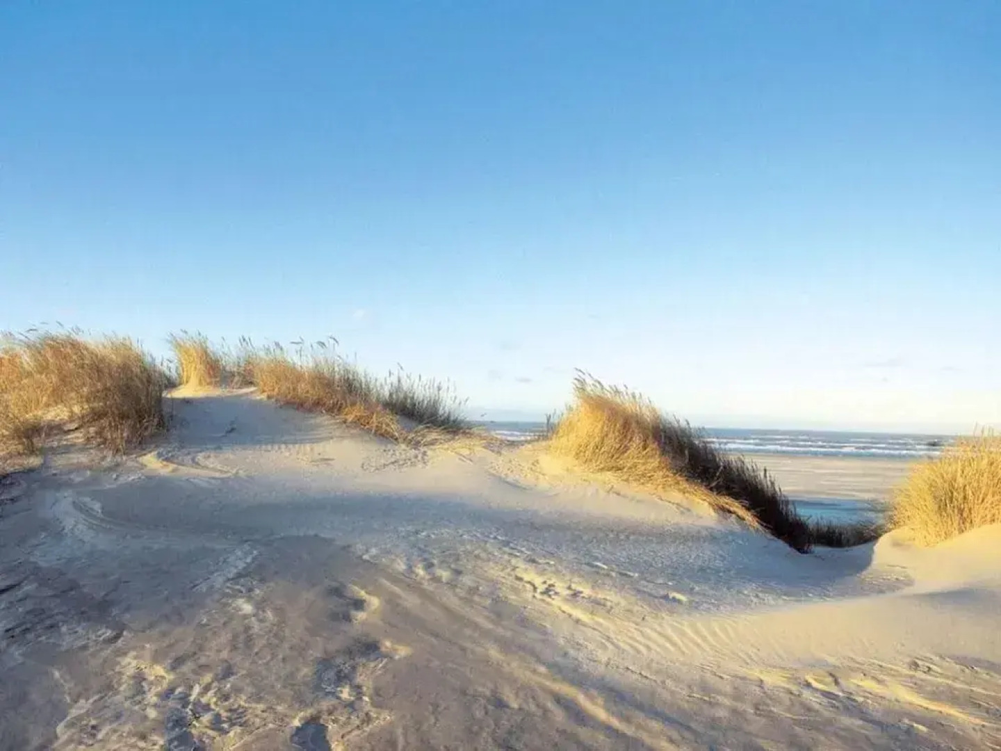 Dunenhuus West Modern Retreat