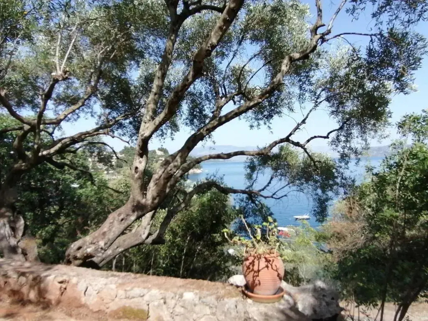 Villa Nena - Studio Suites