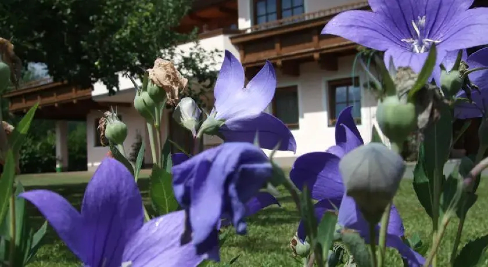 Ferienwohnungen Christine