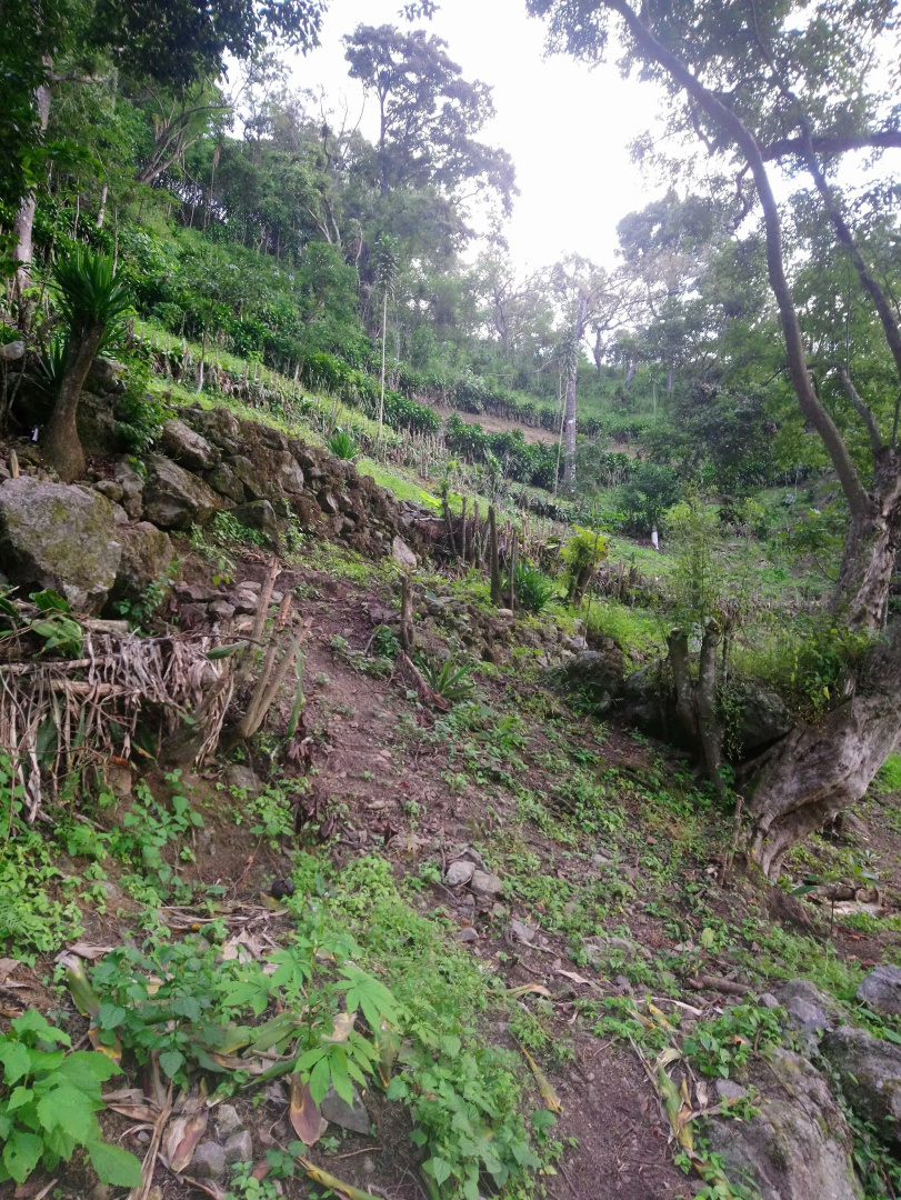 Pink Hostel