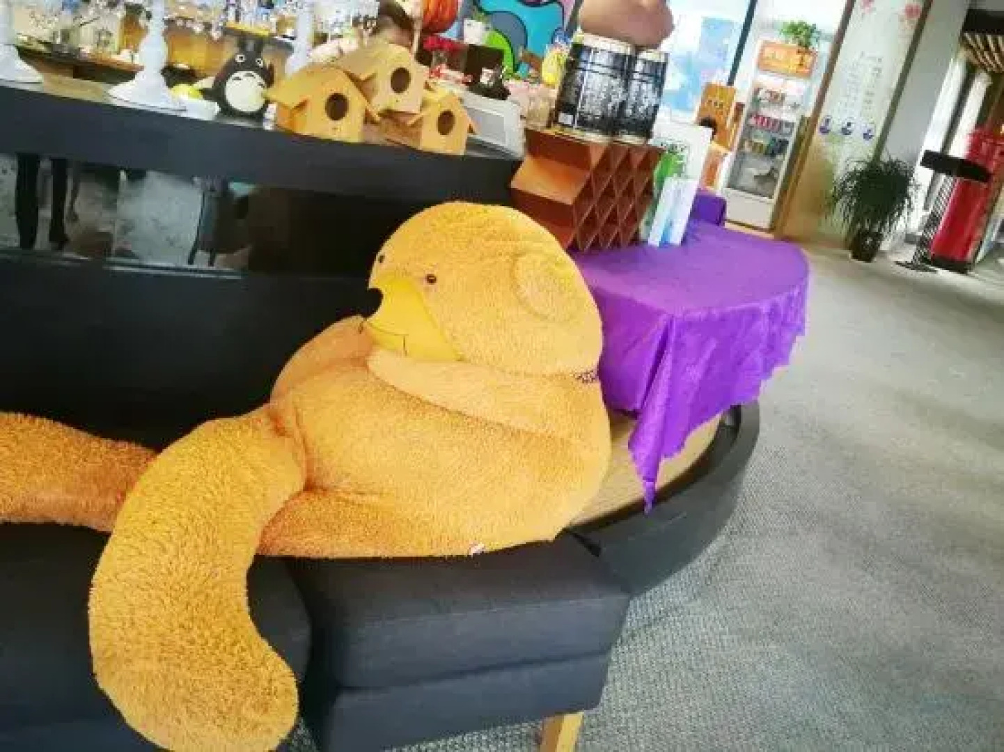 Phoenix Hot Spring Taibai Impression Resort