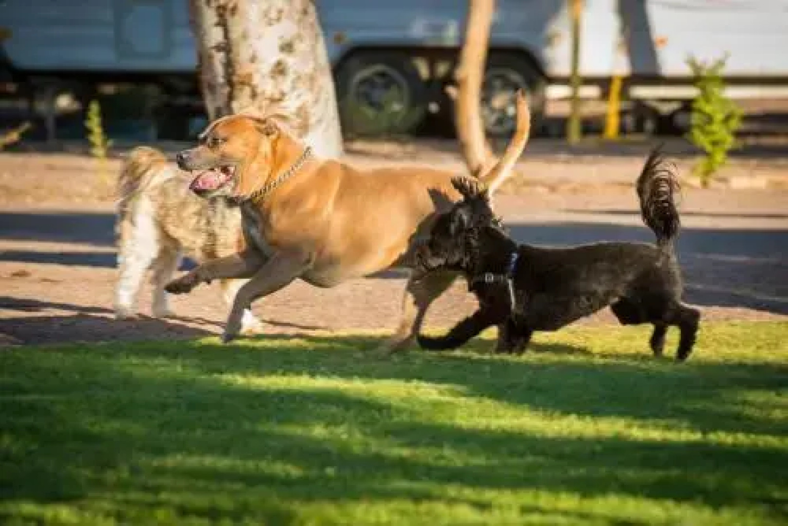 Whyalla Caravan Park