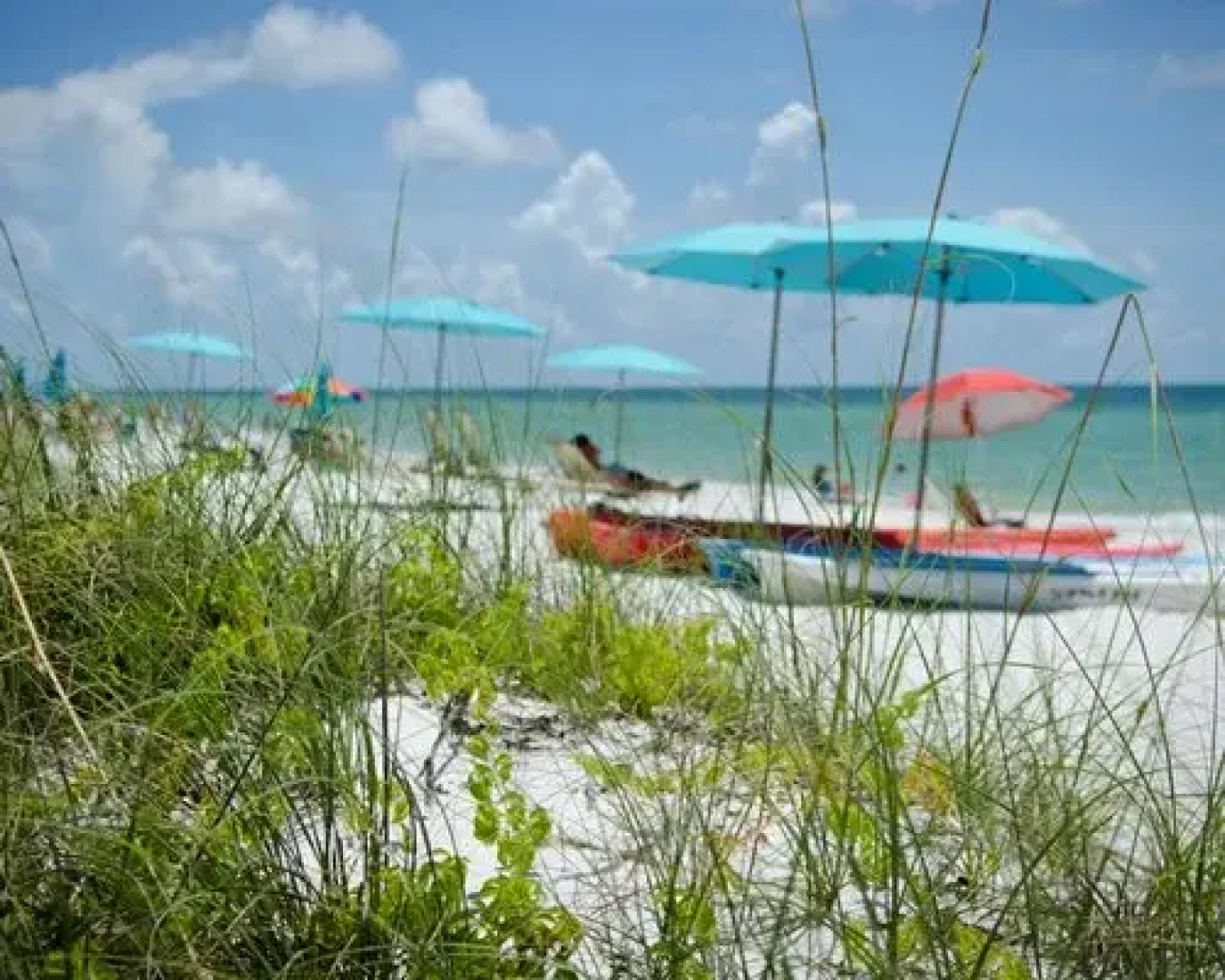 Vanderbilt Beach and Harbour Club