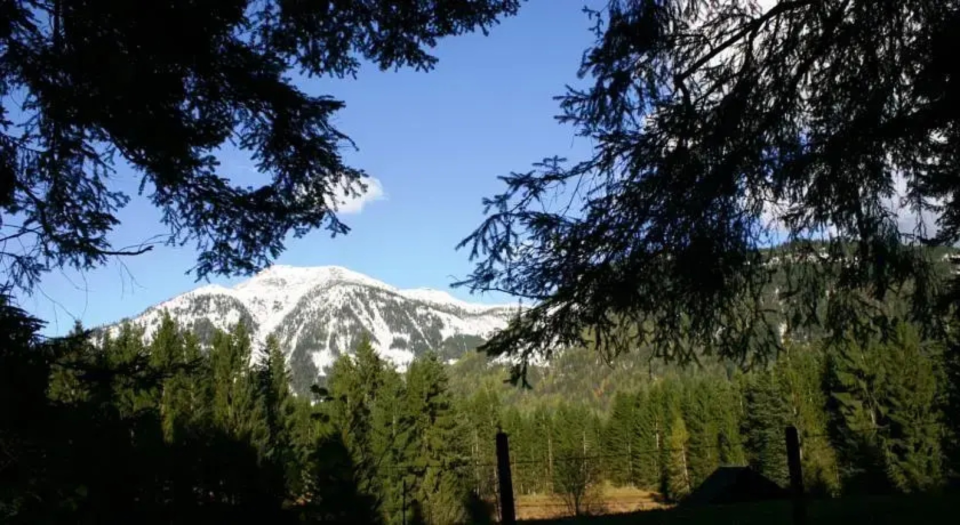 Appartement Charlotte