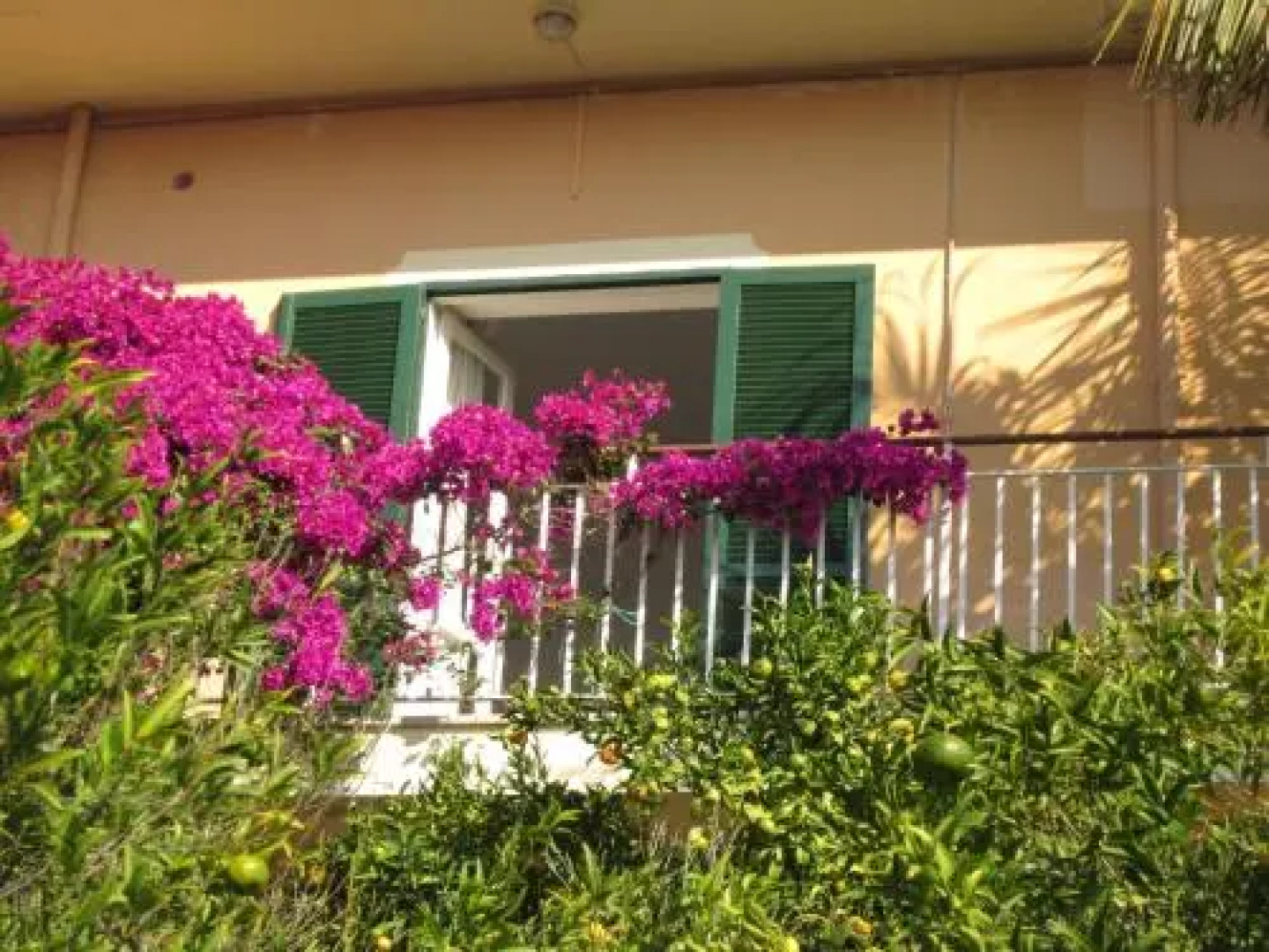 Hotel Villa Degli Aranci