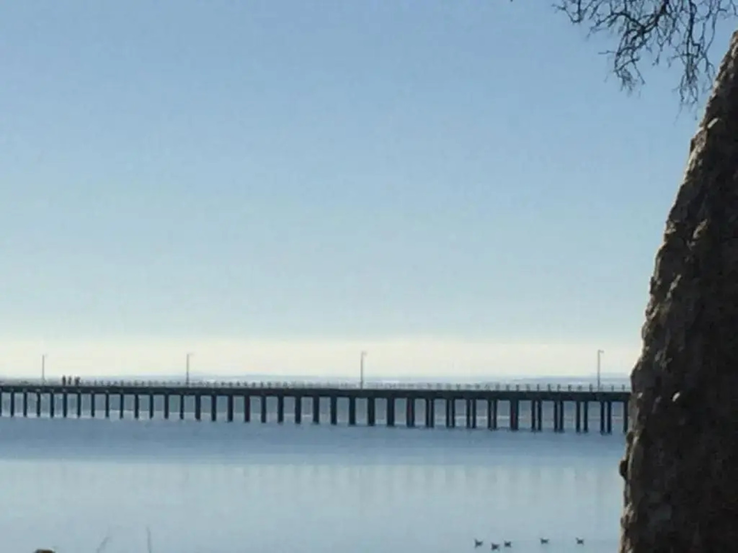 Tranquility by the Bay