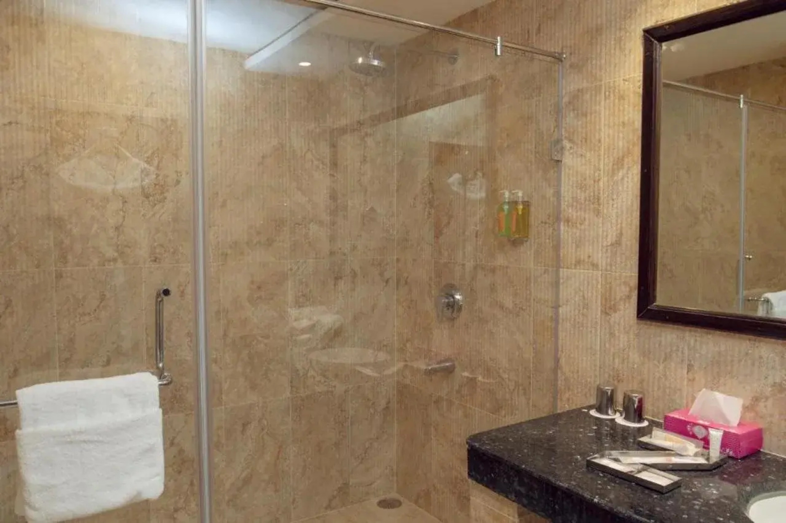 Zone by The Park Jammu