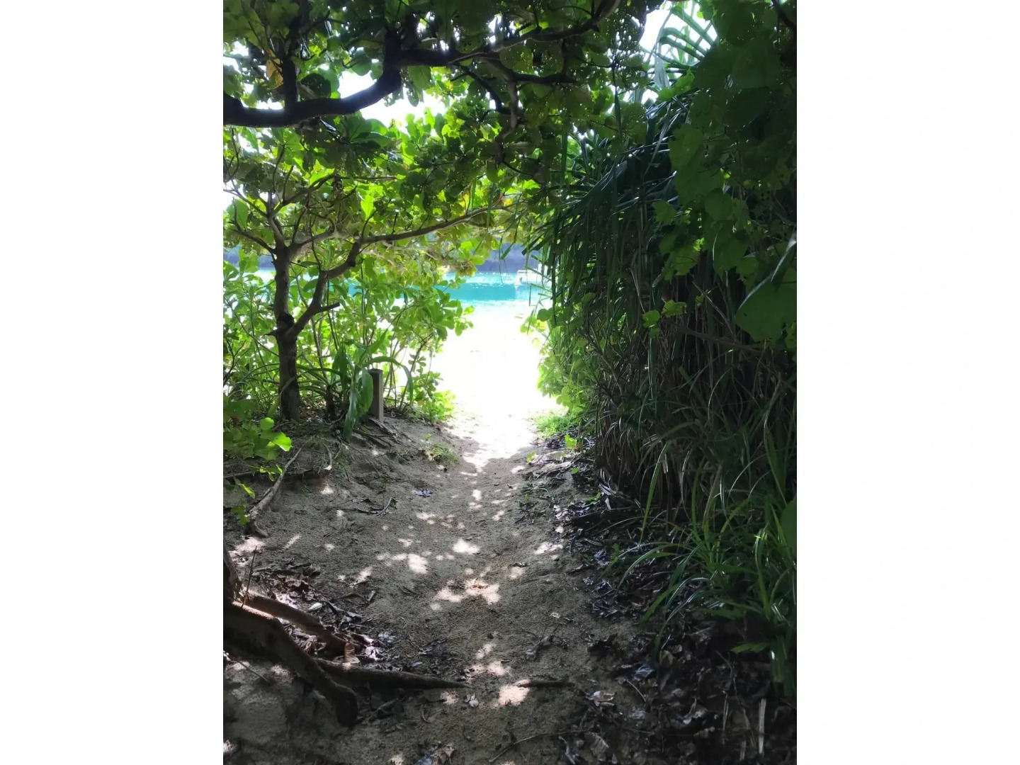 Old American House K-113