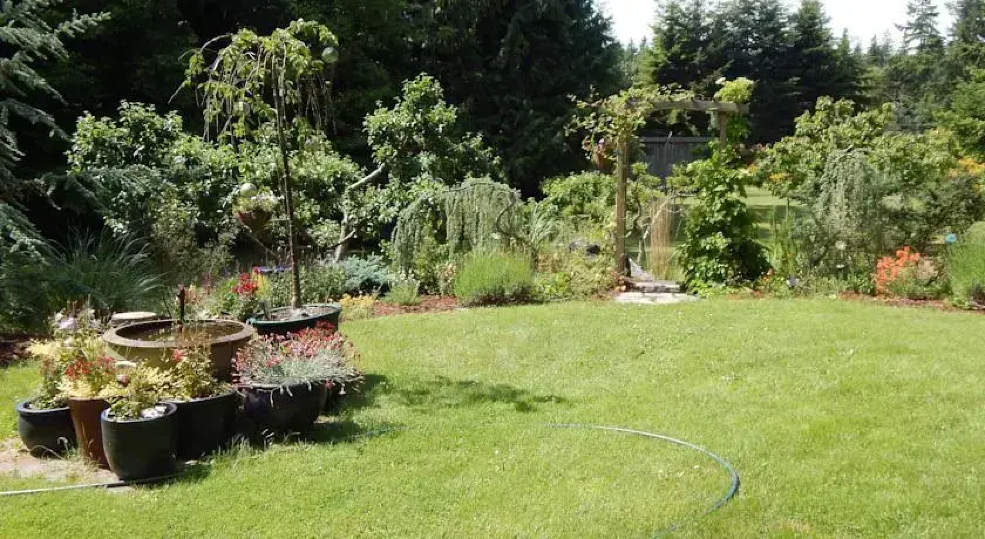 Green Cat Guest House