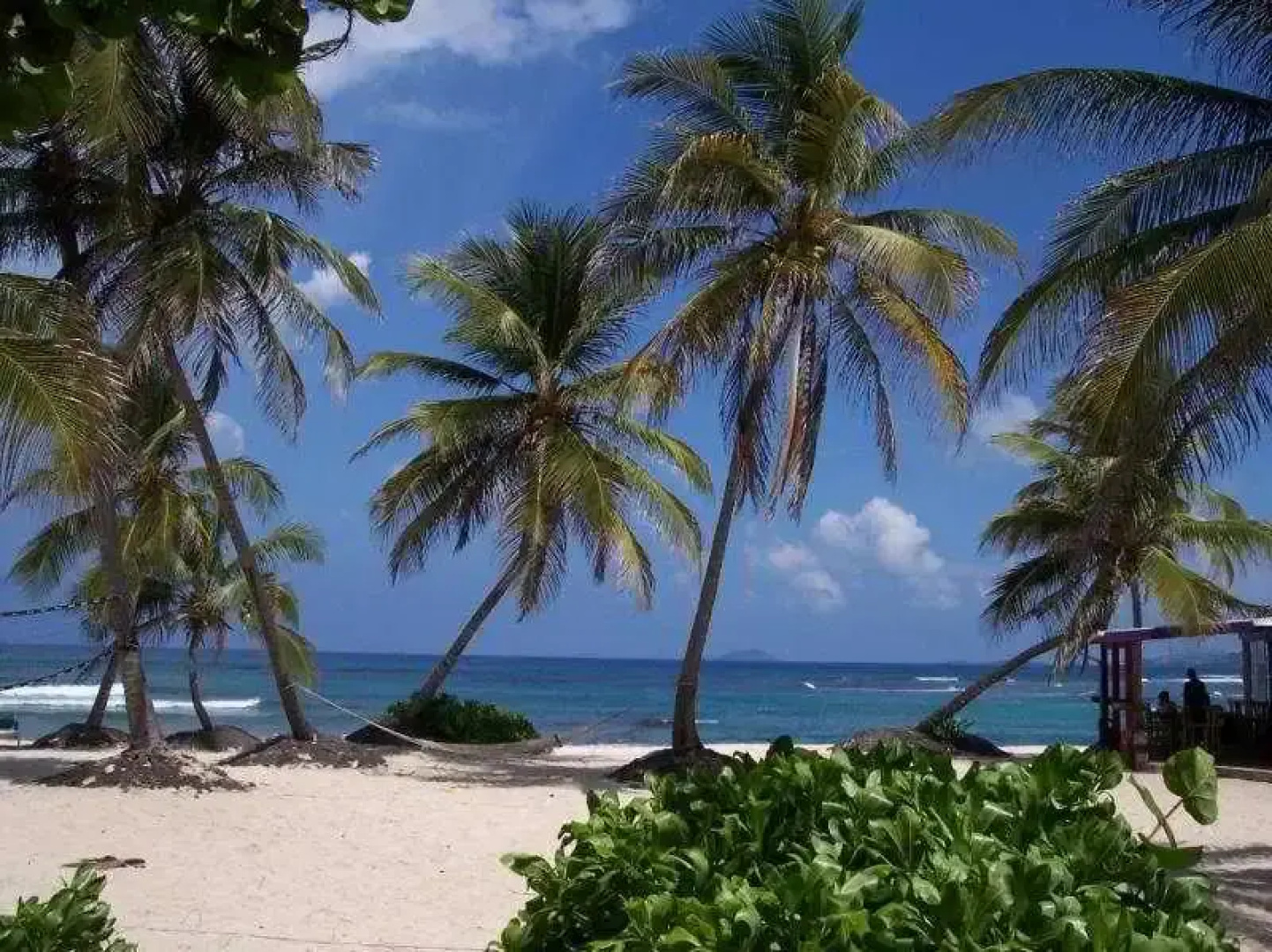 Hibiscus Beach Resort