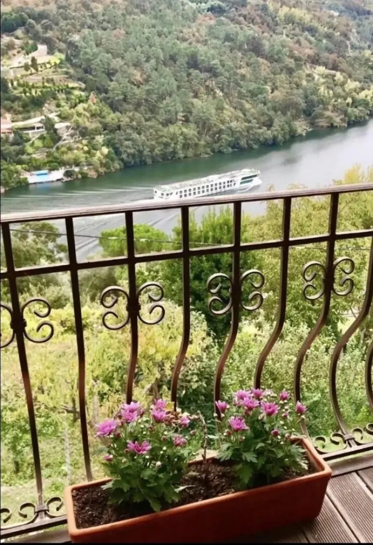 Pedacinho de Mundo Douro