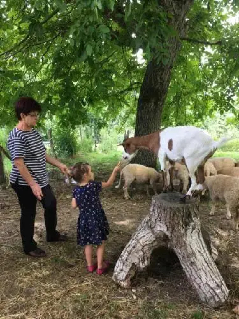 Chambres dhôtes Boudeau