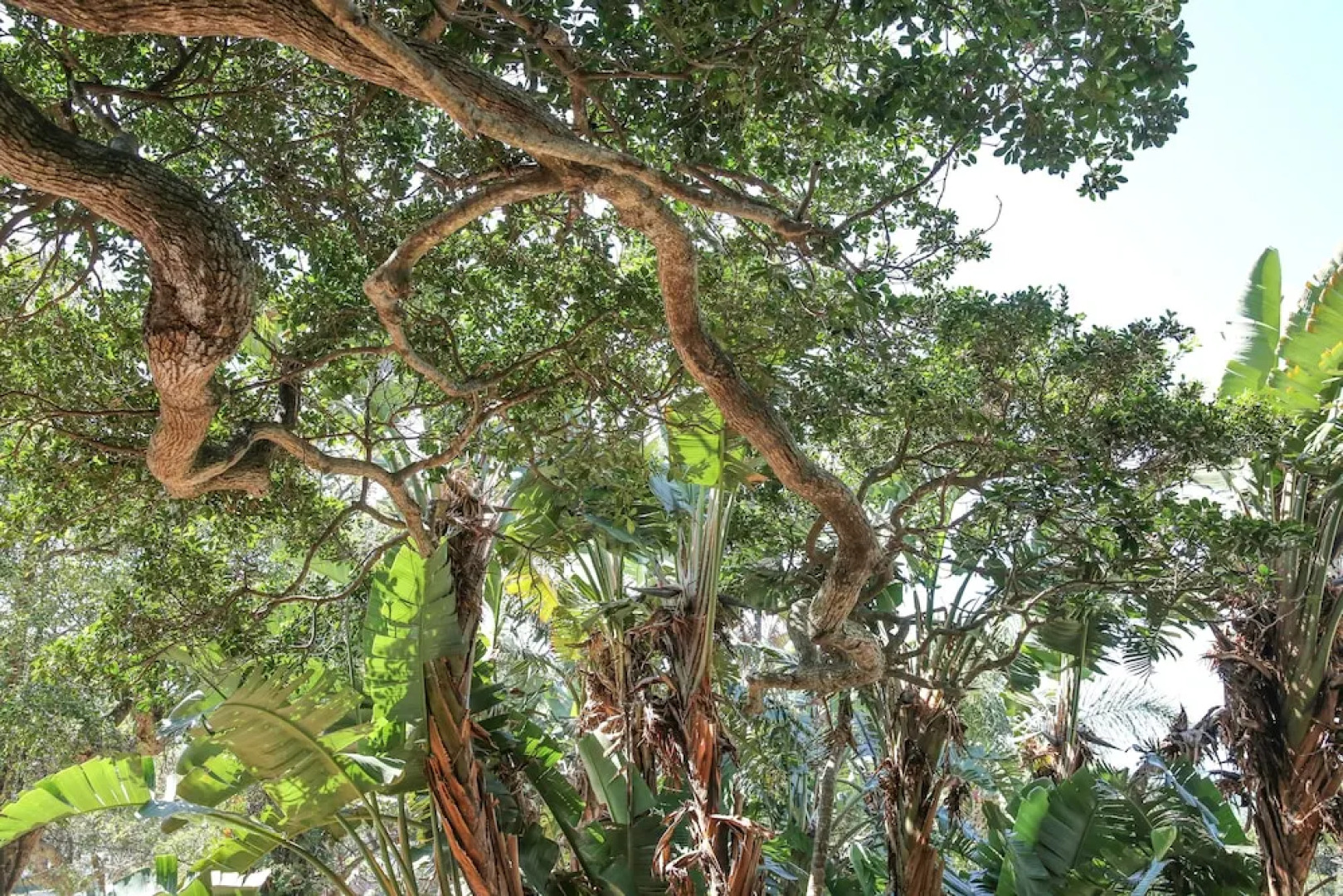 Teremok Lodge and Spa