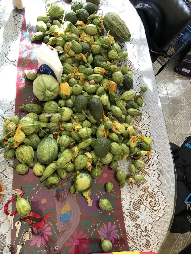 Hotel Boutique Calderon