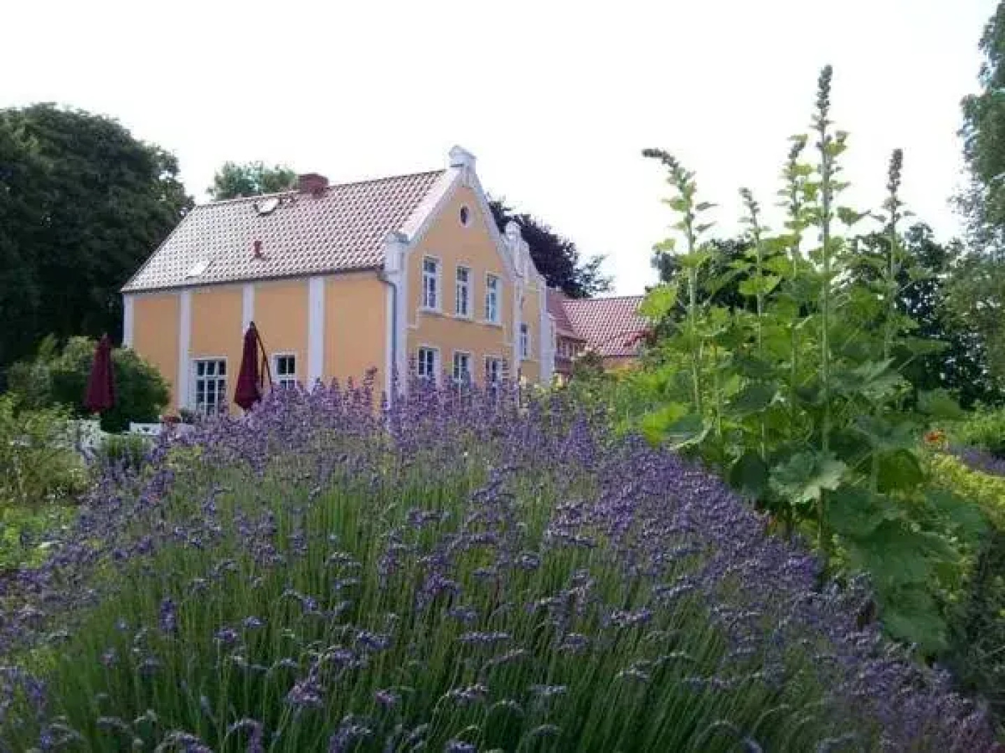Wildkräuterhotel Ehmkendorf