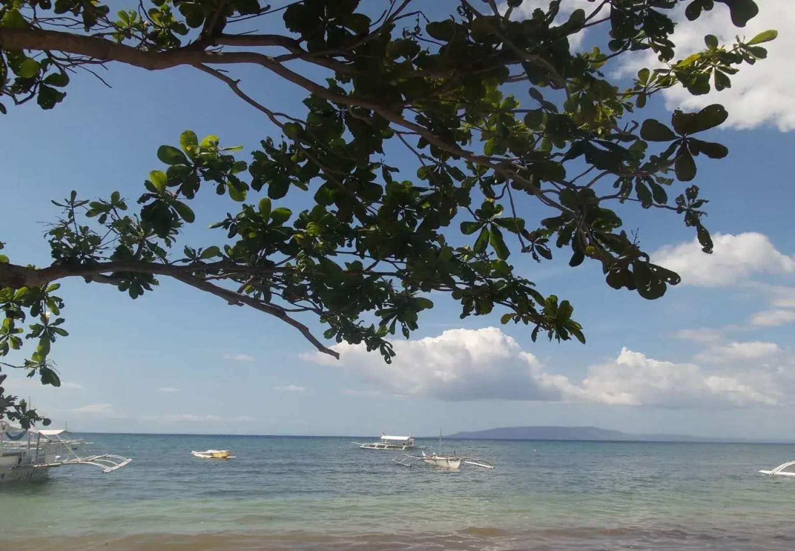 Stanley House Sea View