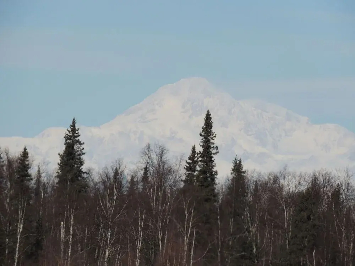 Falcon's Nest Bed & Breakfast