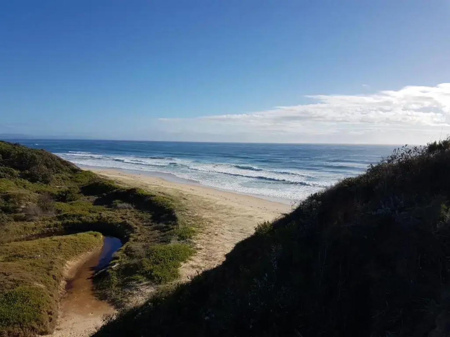 Forest view bungalow