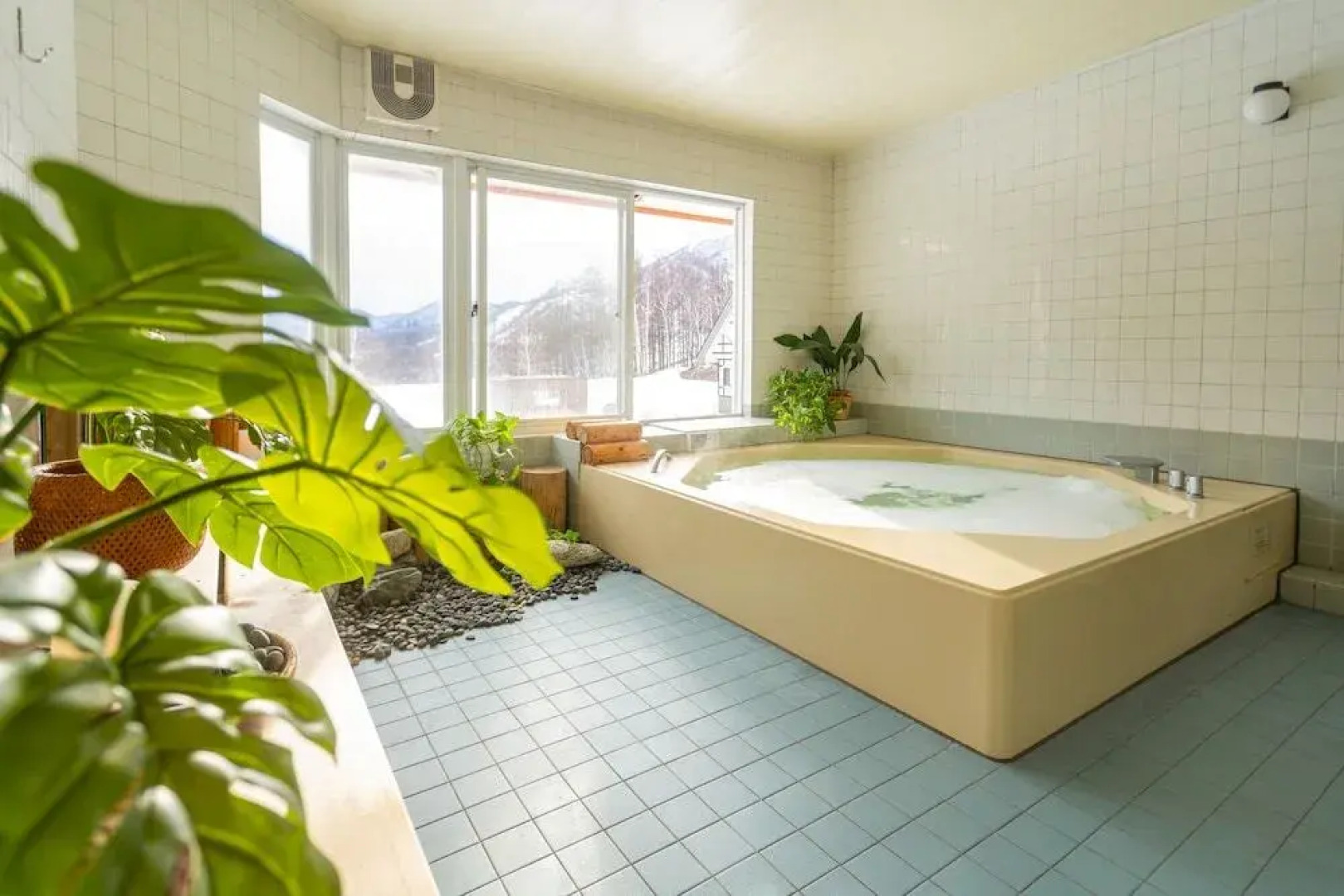 Canopy Cortina Lodge