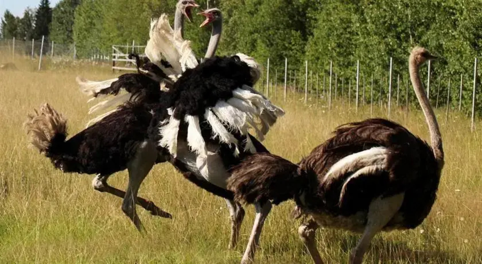 Ketolantilan Majoitus