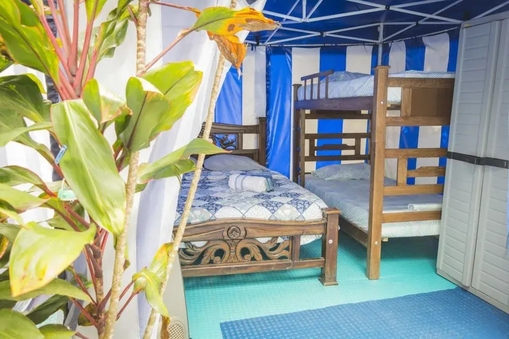 Glamping Safari - Hostel