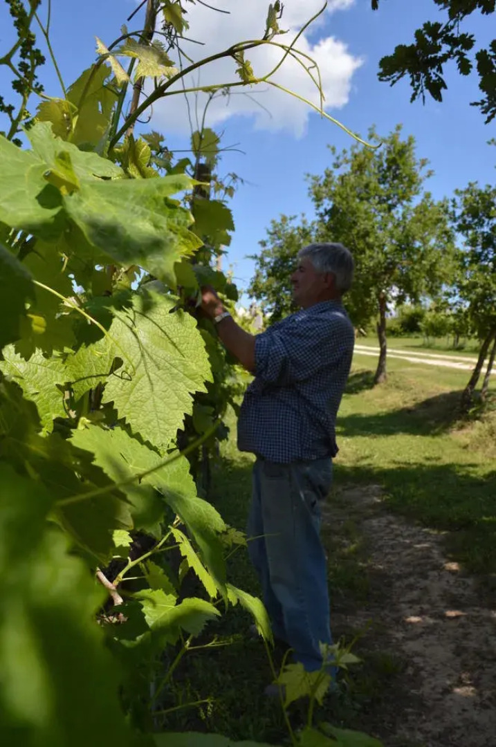 Agriturismo Eco-Bio Villa Vacasio
