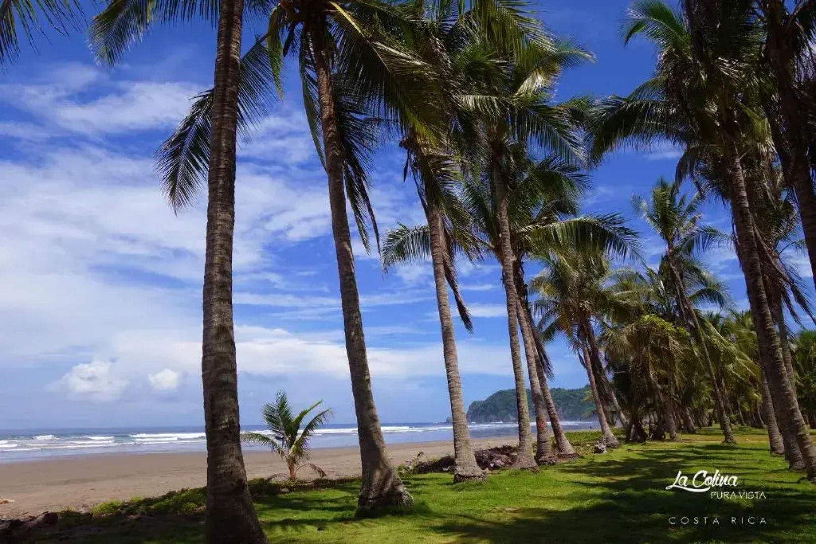 La Colina Pura vista