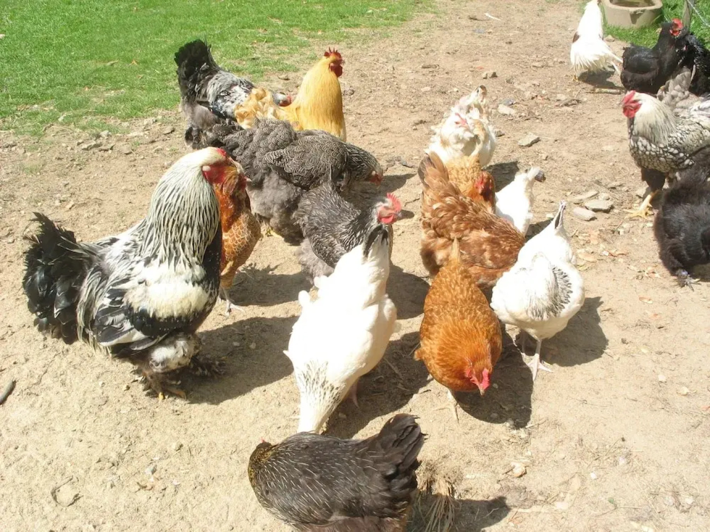 Le Clos Saint Fiacre