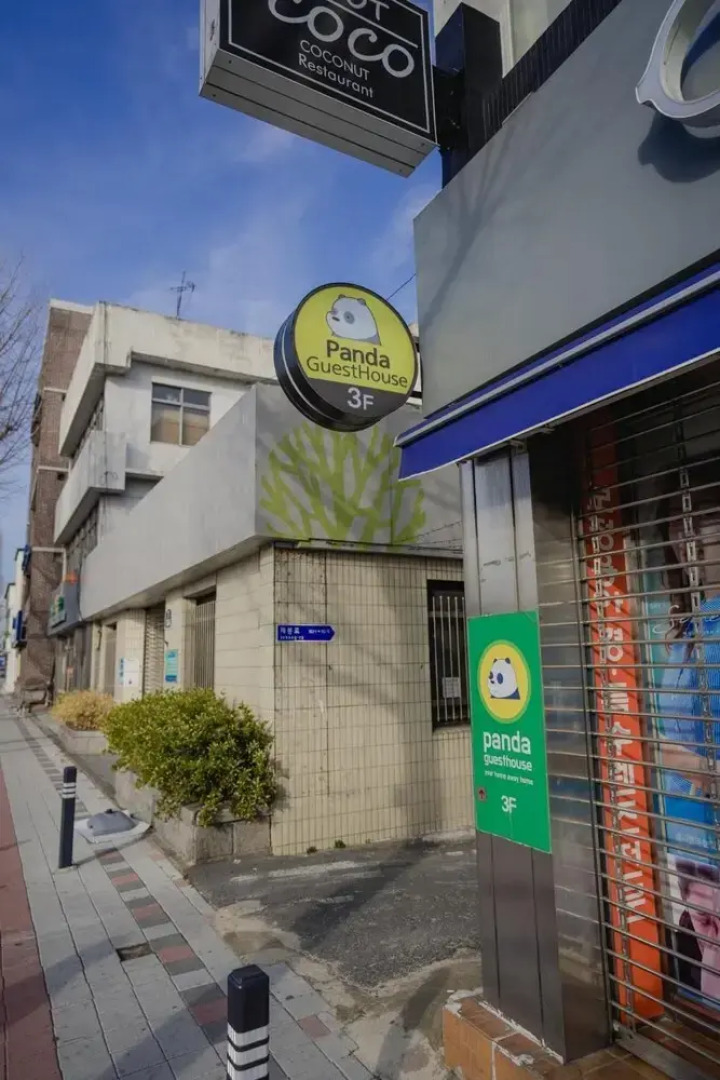 Panda Guesthouse - Hostel