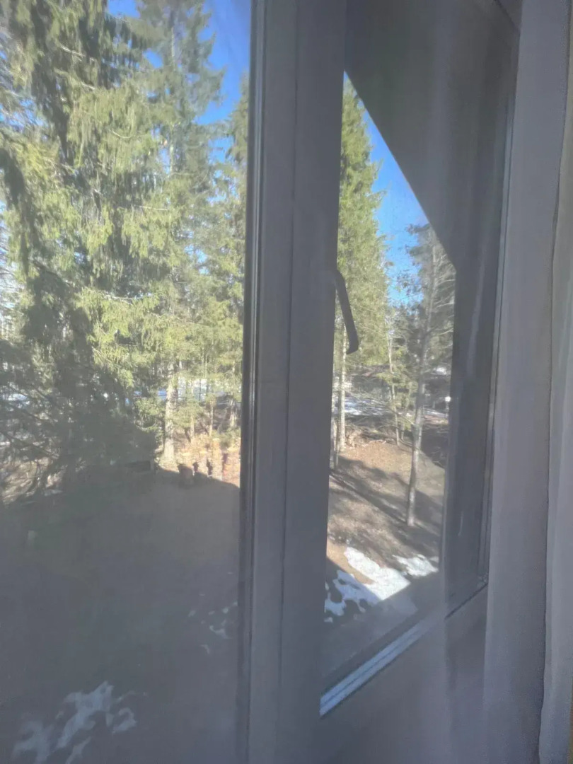 Дом в сосновом лесу