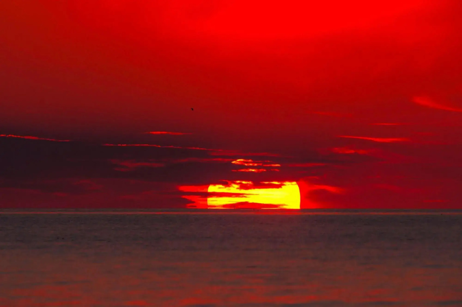 Holiday Home, Private Sauna, Close to the Beach