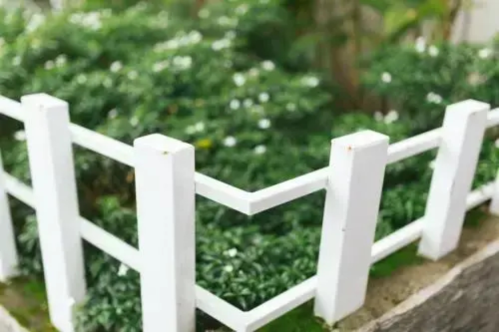 The Nisha Continental