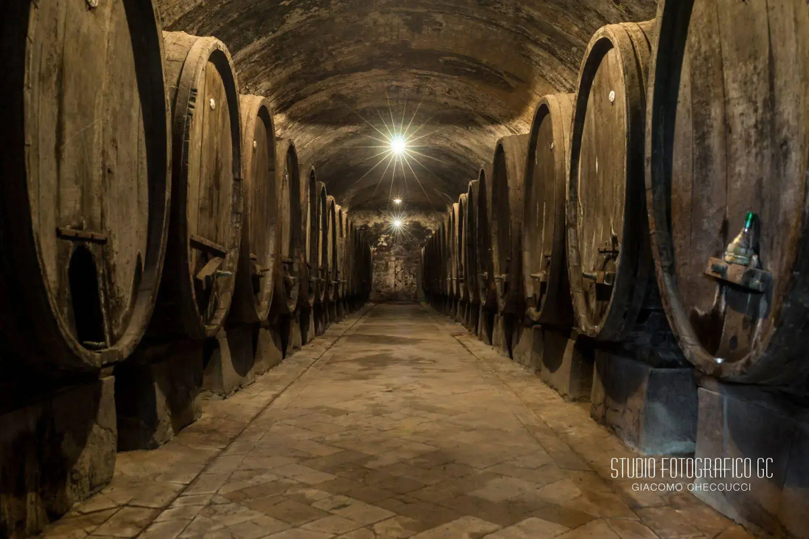 Fattoria Bassetto Guesthouse