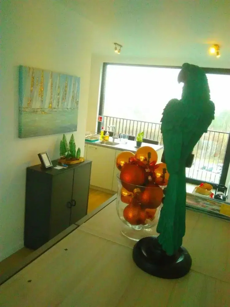 Fully Equipped Sunny Apartment