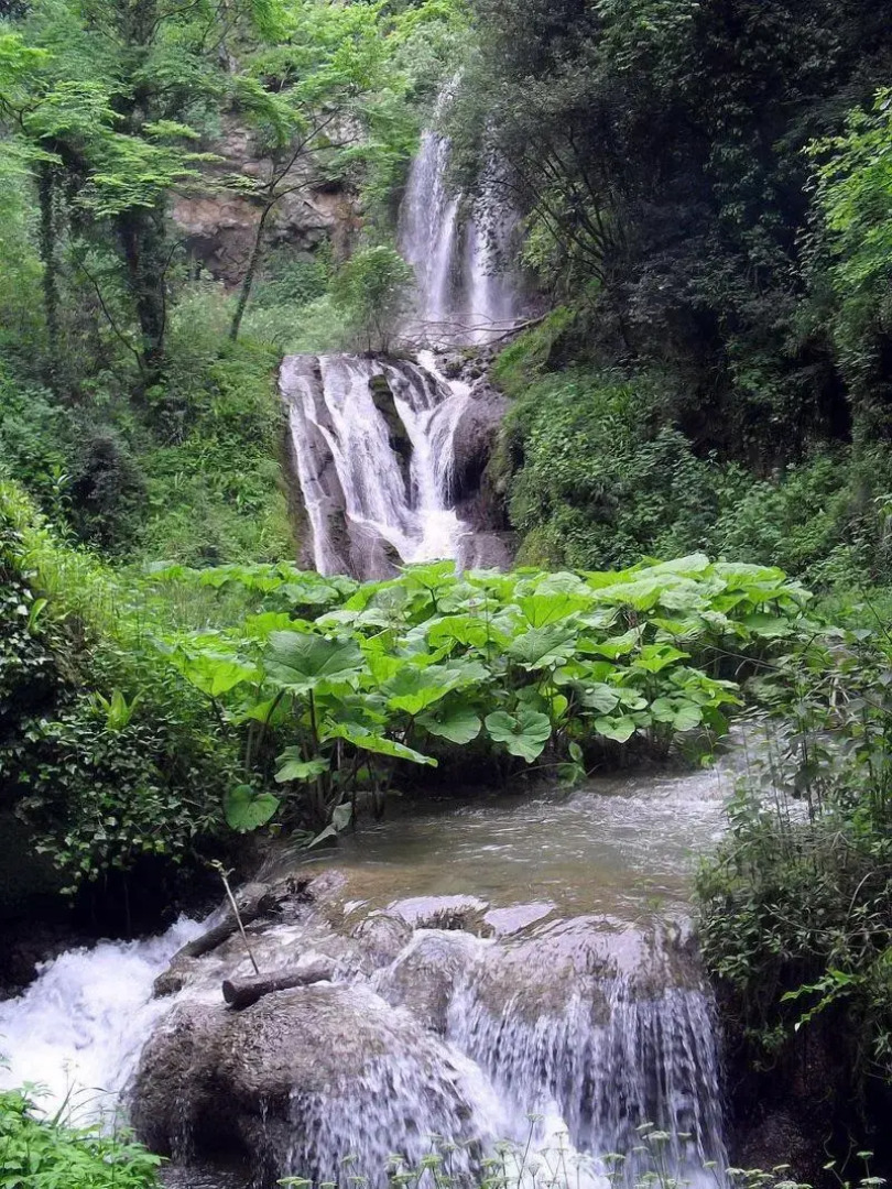 Residenze Gregoriane - Dimora d'Epoca