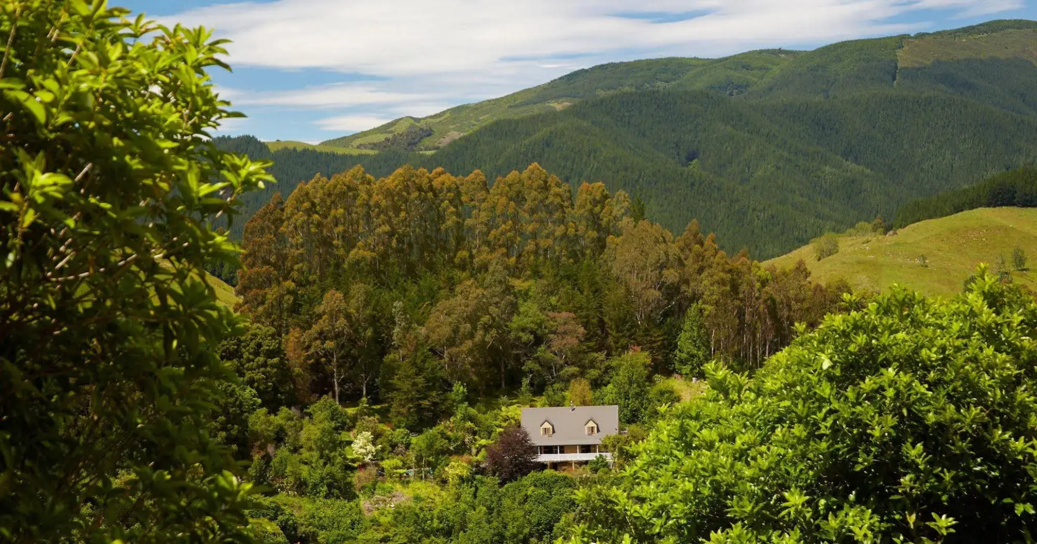 The Resurgence - Luxury Eco Lodge