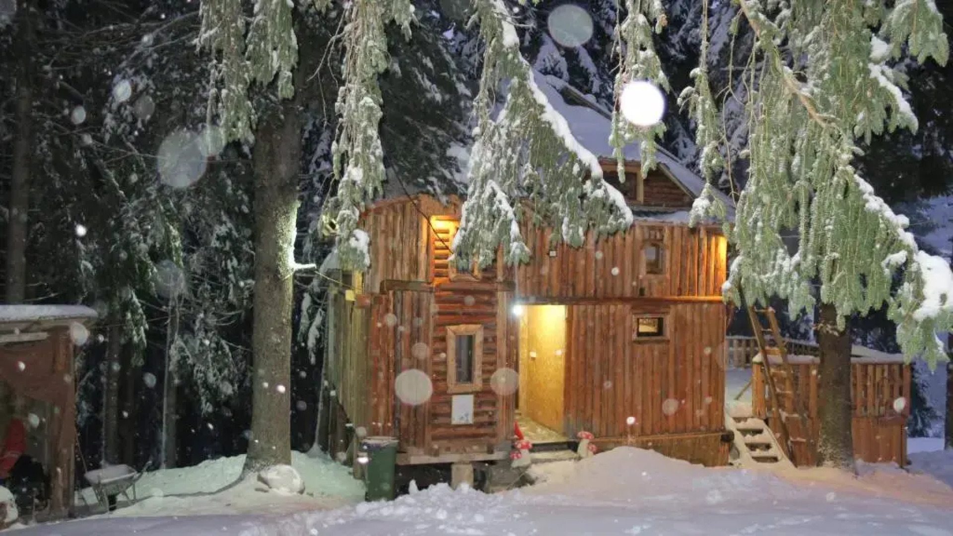 Lodge Between The Pine Trees