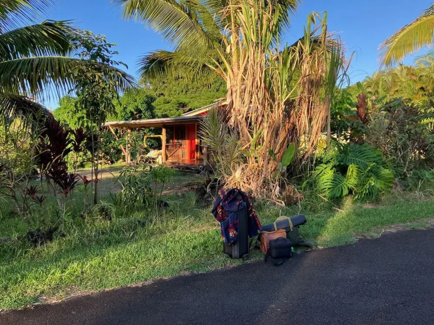 Sweet Spot Stay - Tikis and Treetops