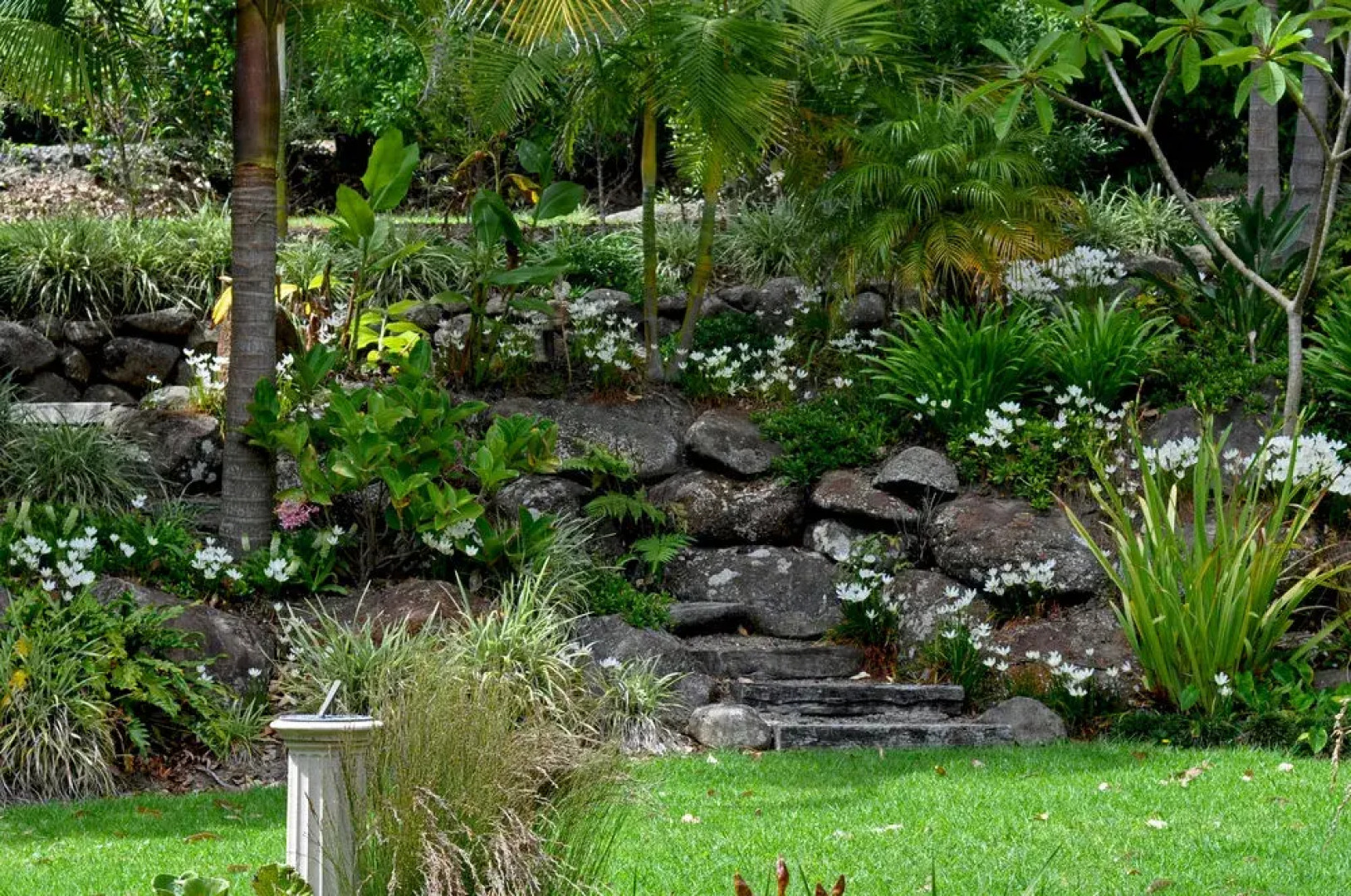 Sanctuary in the Cove