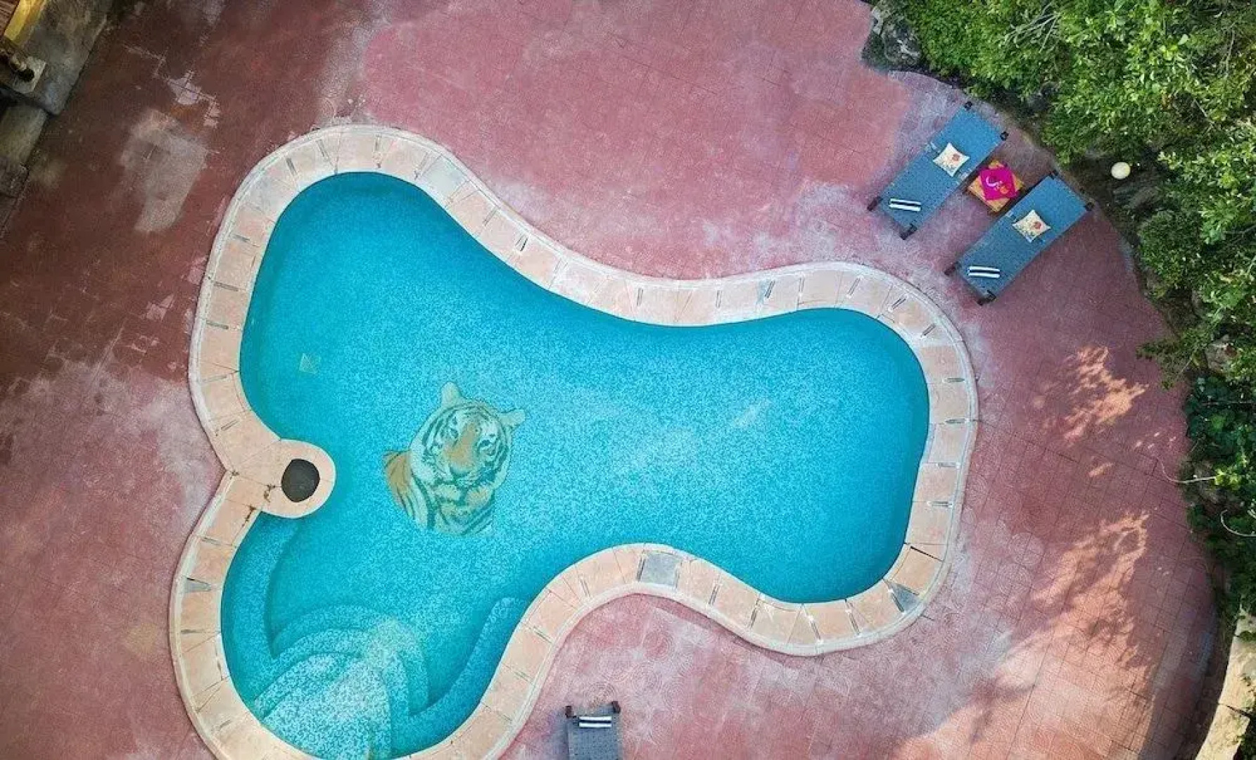 Renest Bandhavgarh Meadows