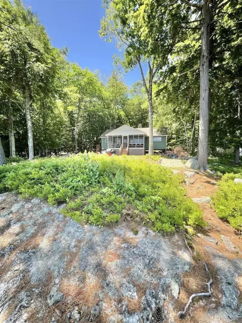 Placyd Pines Limit 8 4 Bedroom Cottage by RedAwning