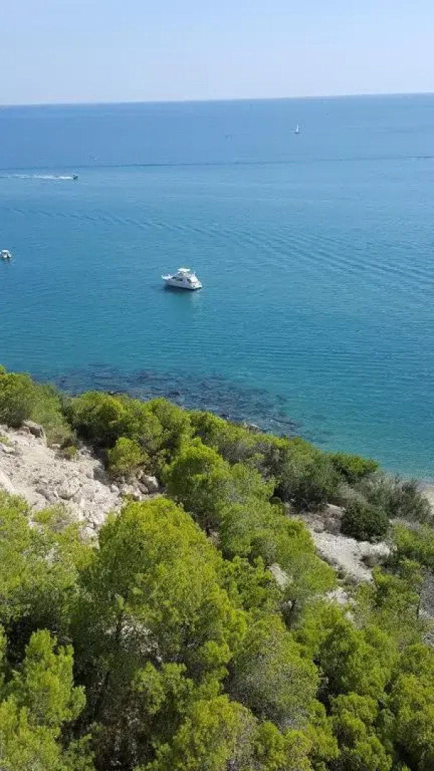 Appartement Le Flamant Rose