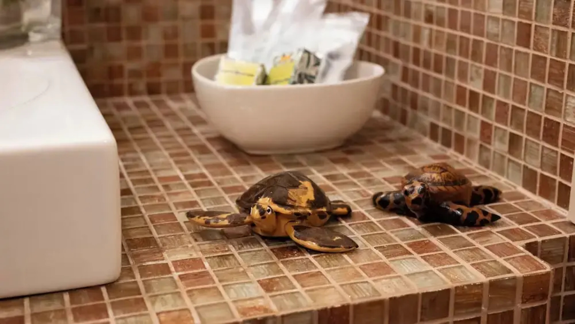 Tenuta il Sassone - Wine & Food