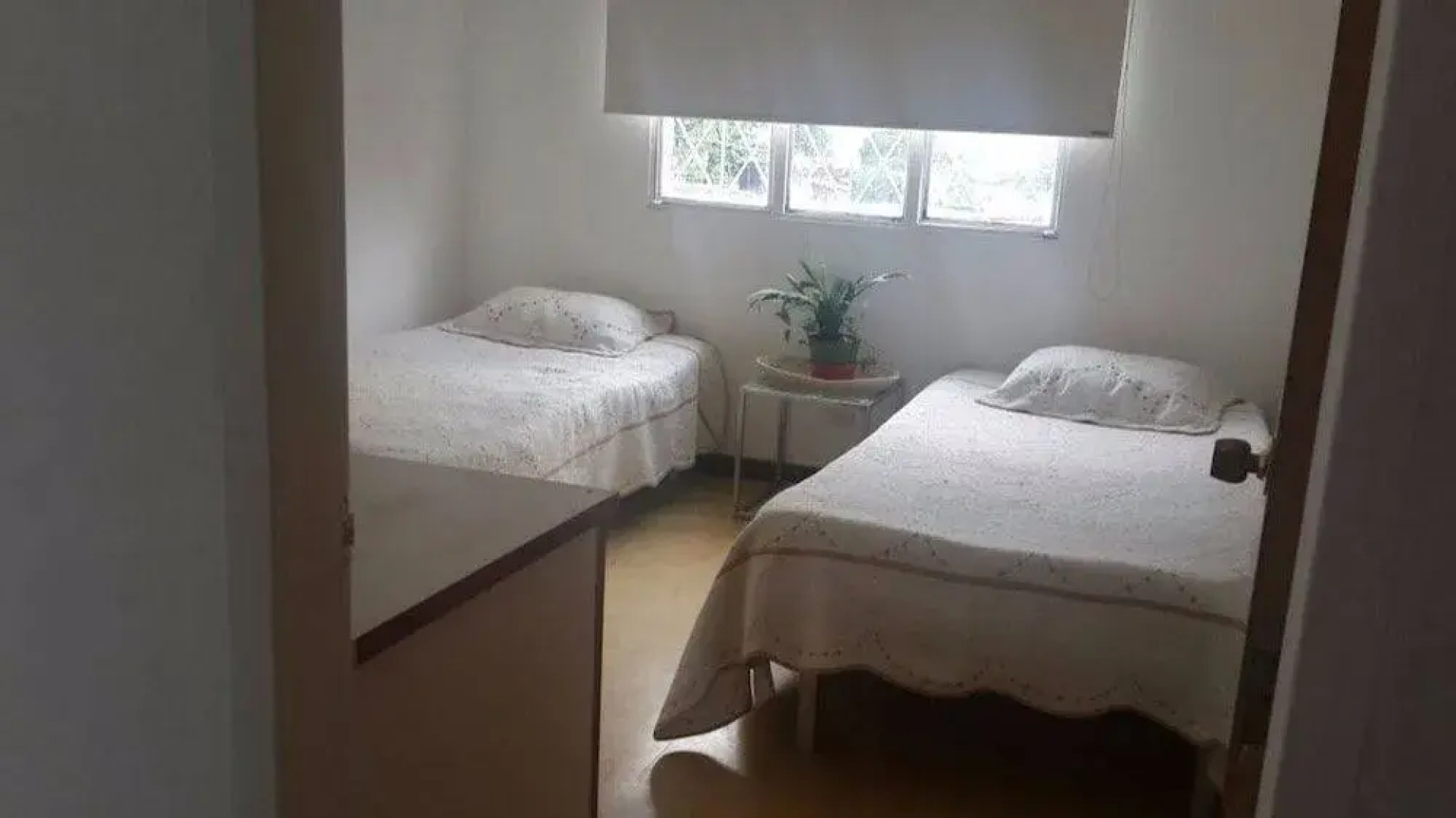 Orquideas del Tolima