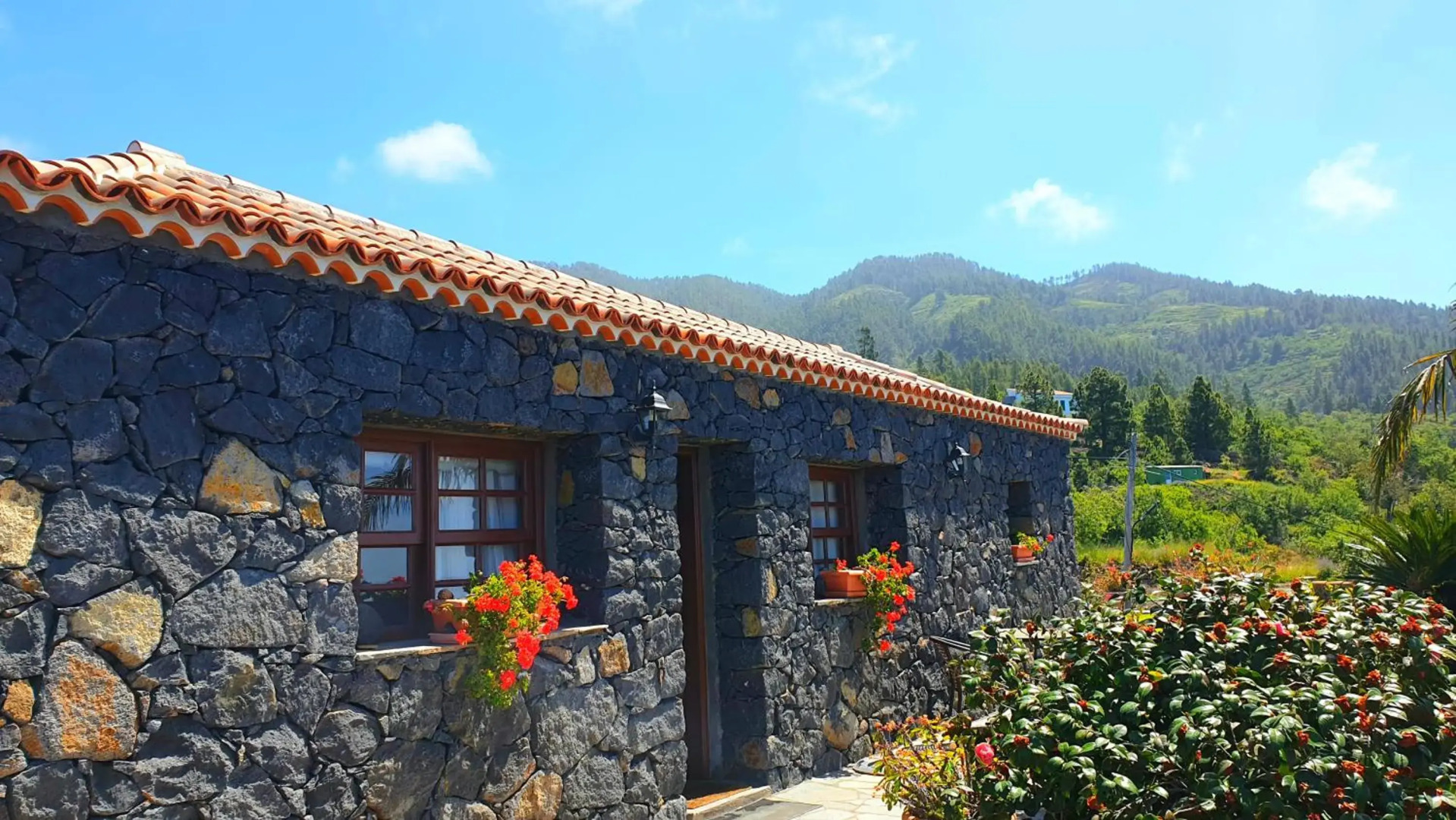 Climatized Pool Free Wifi Casa Rural Las Pareditas