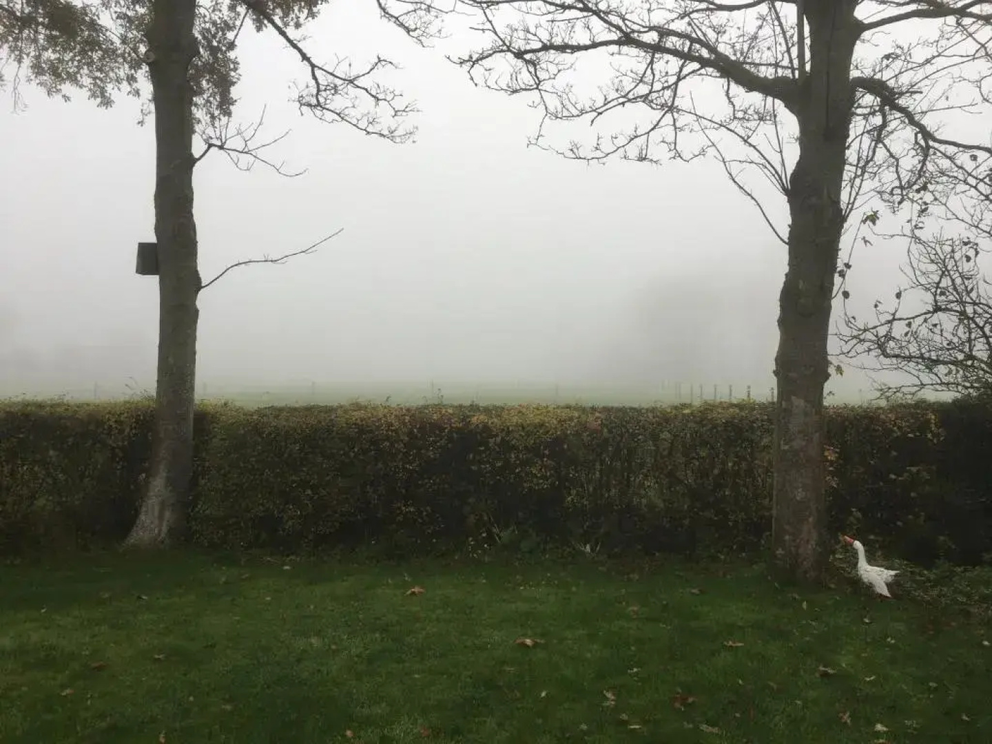Gastenverblijf Neeltje