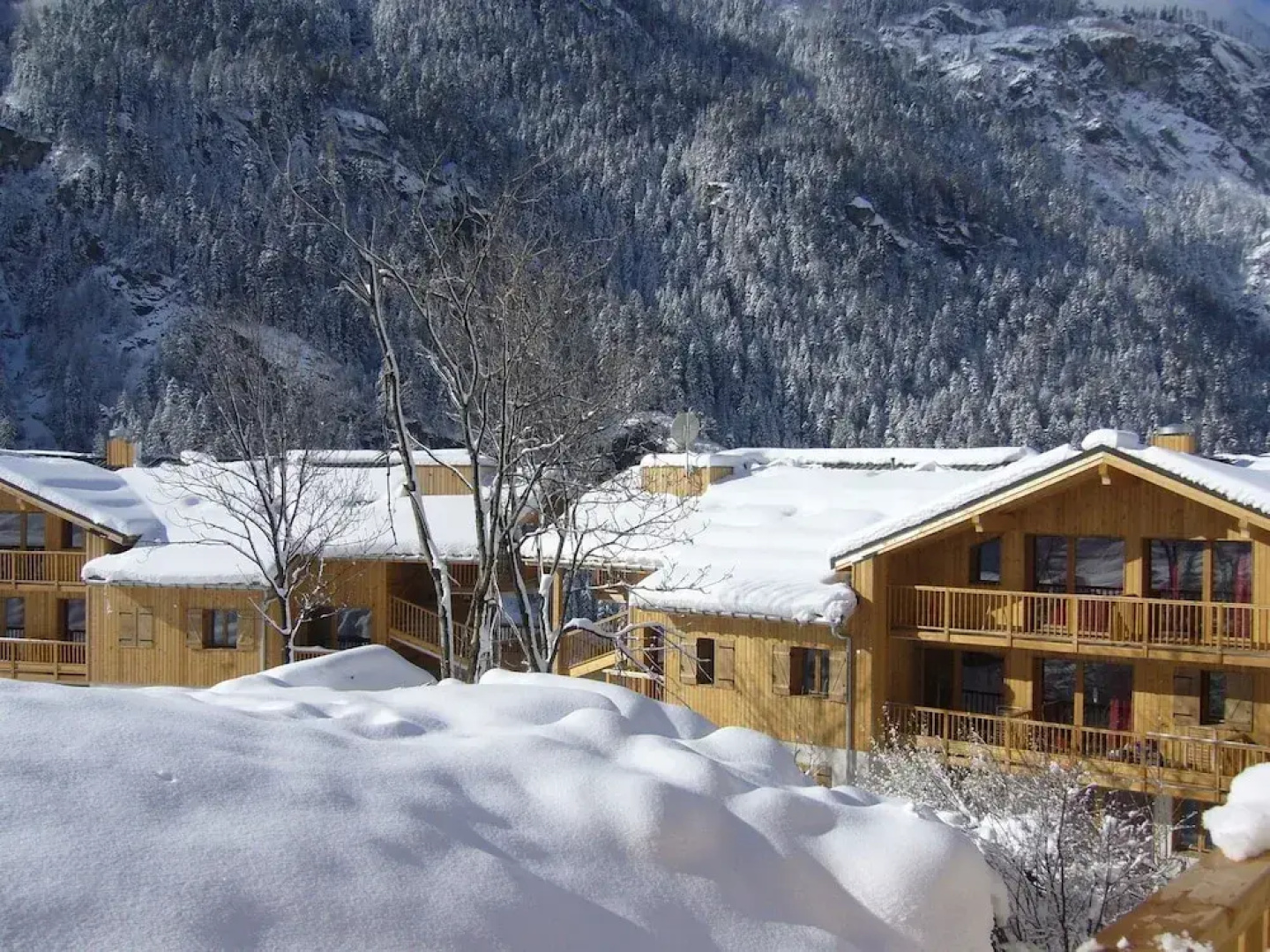Appartement le Genepi
