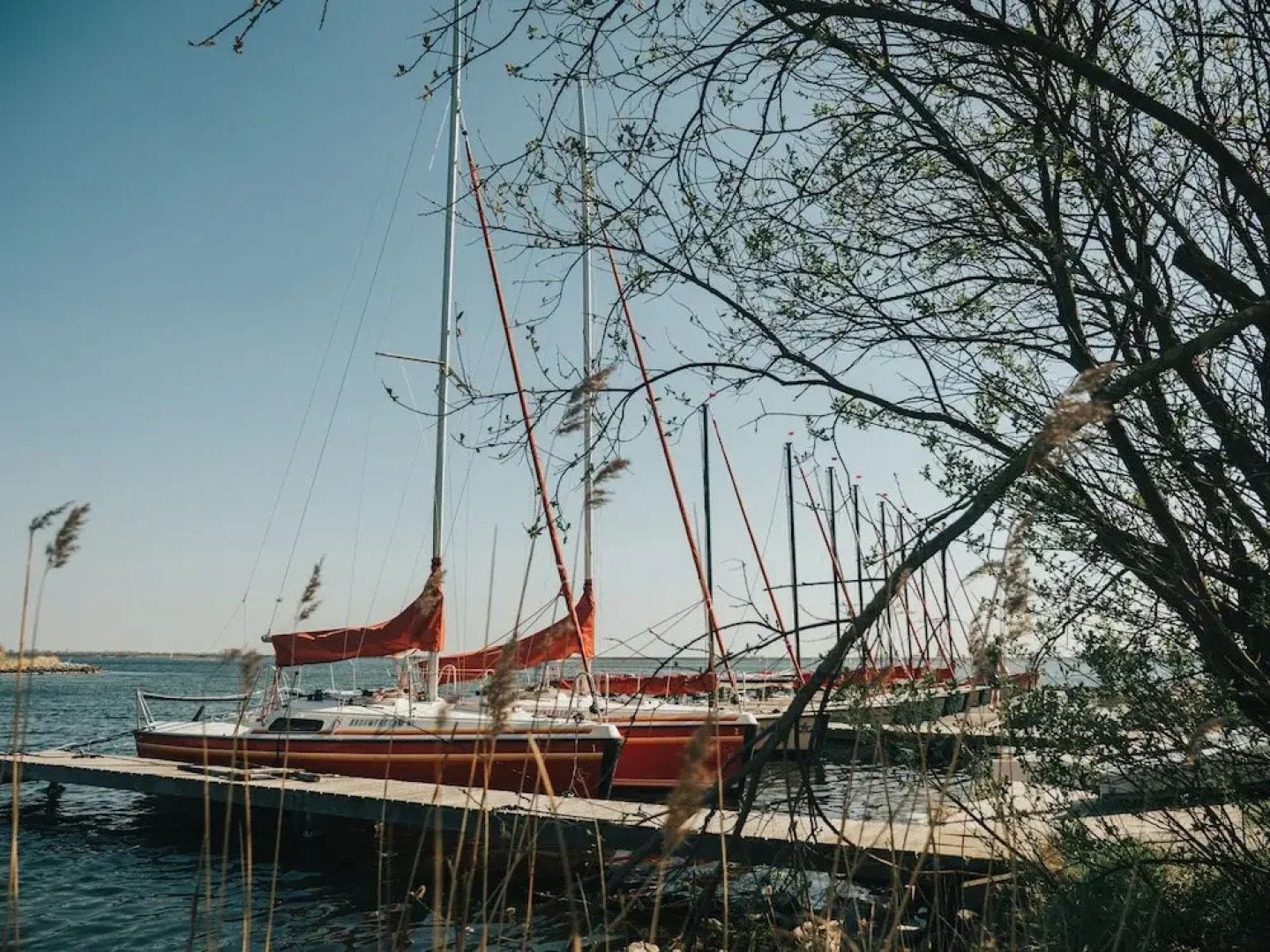 Ridderstee Ouddorp Duin