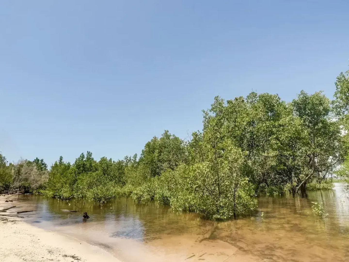 OYO Homes 91148 Homesstay Desa Wisata Bahoi Near Ekowisata Mangrove Desa Bahoi