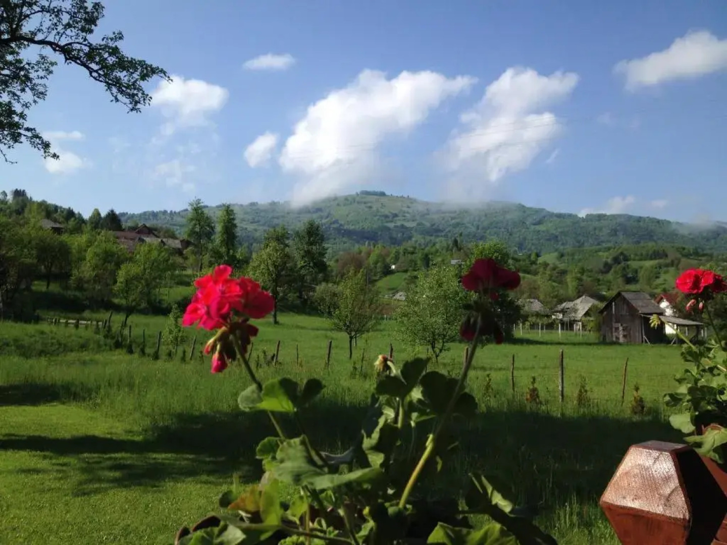 Pensiunea Turlas Maria